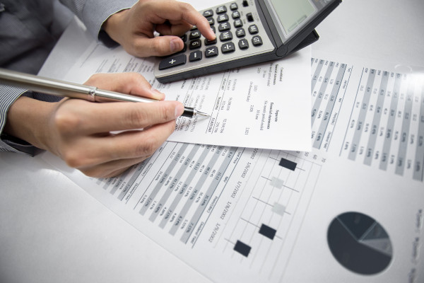Auxiliar Administrativo Contable y Auditor